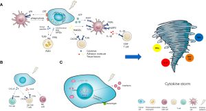 Cytokine Storm