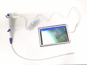 Disposable Bronchoscope