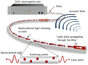 Distributed Fiber Optic Sensor