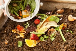 Food Waste Management