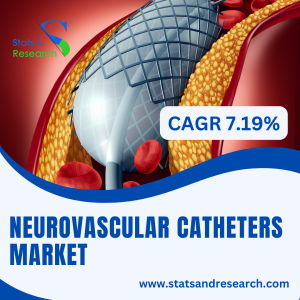 Neurovascular Catheters Market