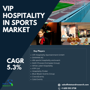 VIP Hospitality in Sports