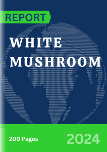 White Mushroom 