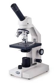 light microscope