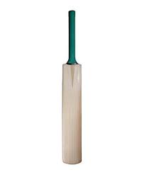 cricket bat