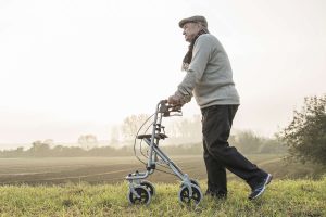 Rollator Walker