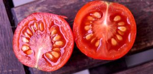 Tomato Seeds