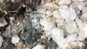 Zeolites